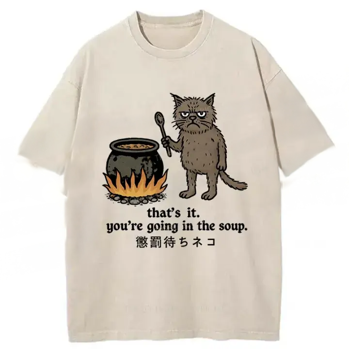 Cat About To Be Punished Washed T-Shirt